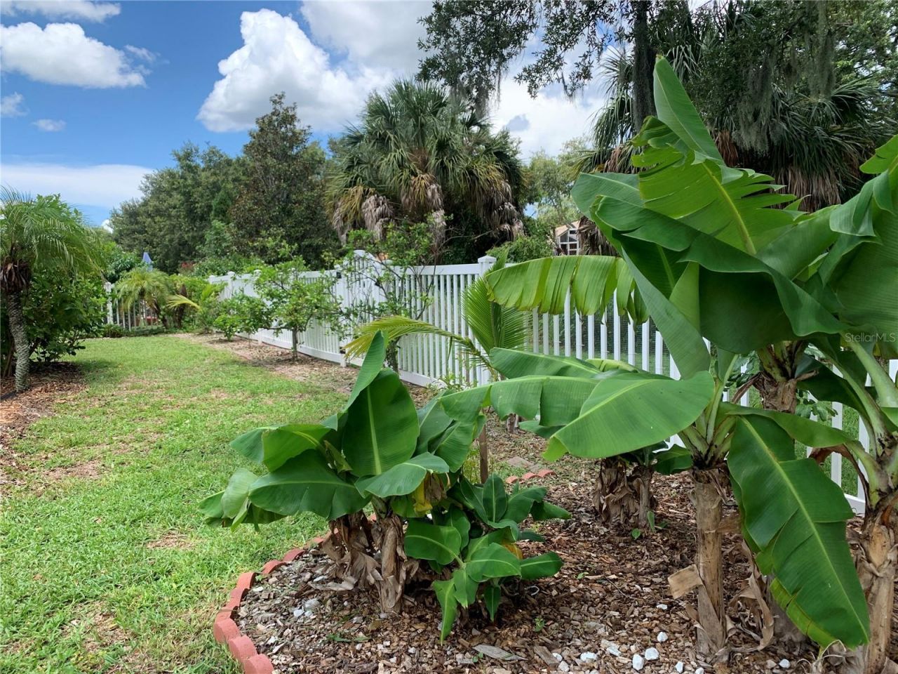 10308 Holland Road, Riverview, FL 33578 Photo