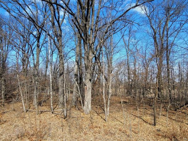 514XX Leaf River Road Tract C, Ottertail, MN 56571