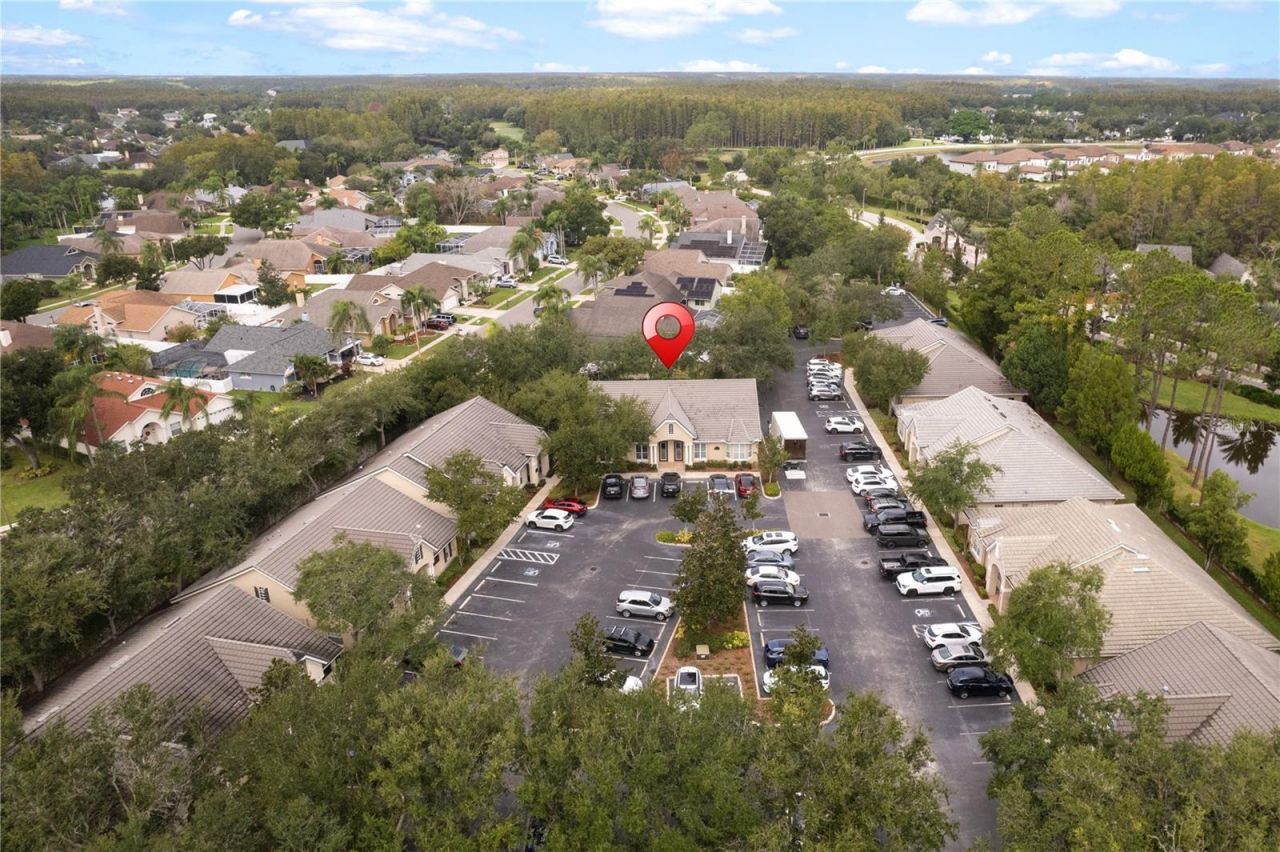 18540 N Dale Mabry Highway, Lutz, FL 33548 Photo