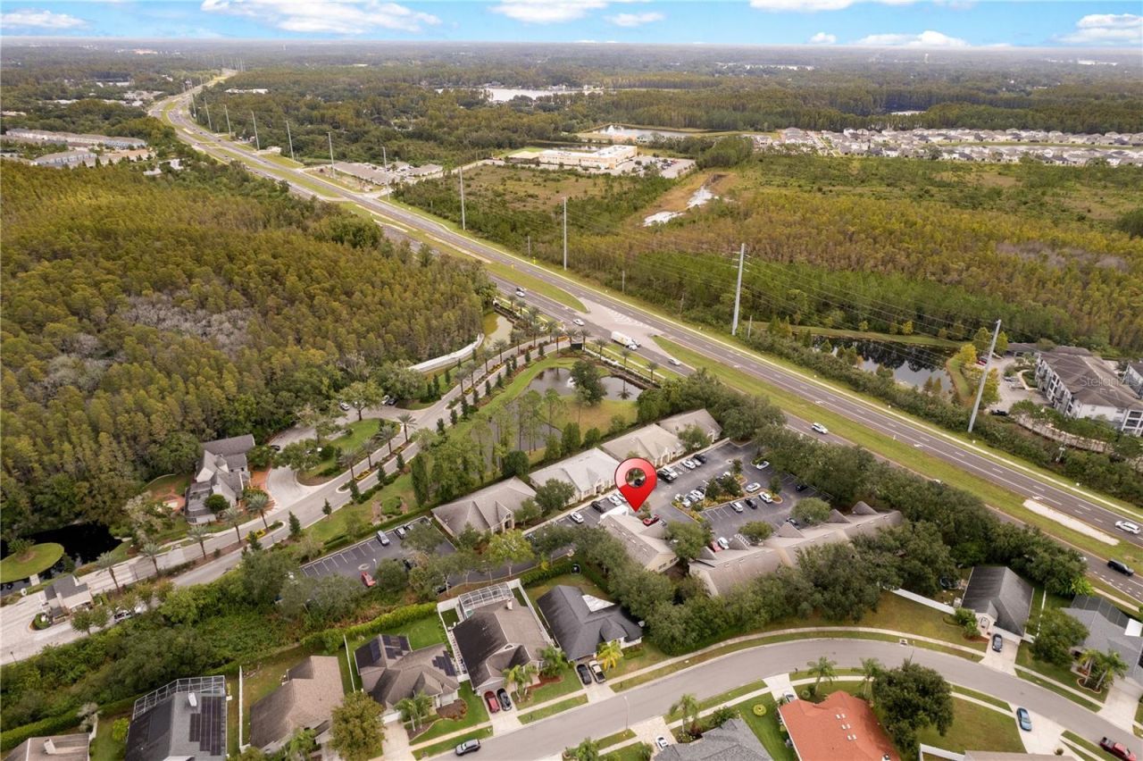 18540 N Dale Mabry Highway, Lutz, FL 33548 Photo