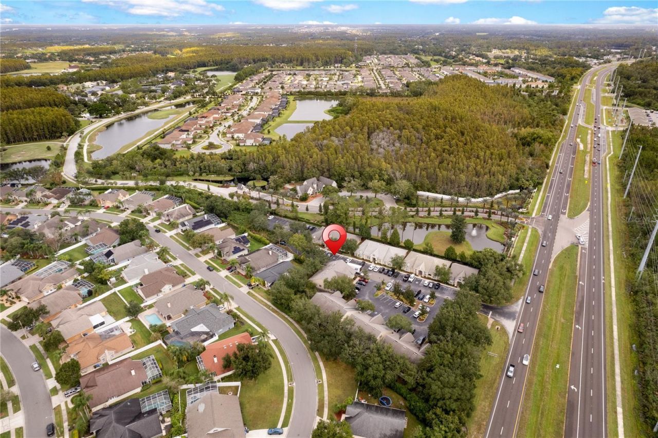 18540 N Dale Mabry Highway, Lutz, FL 33548 Photo