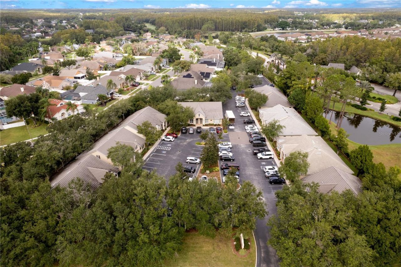 18540 N Dale Mabry Highway, Lutz, FL 33548 Photo