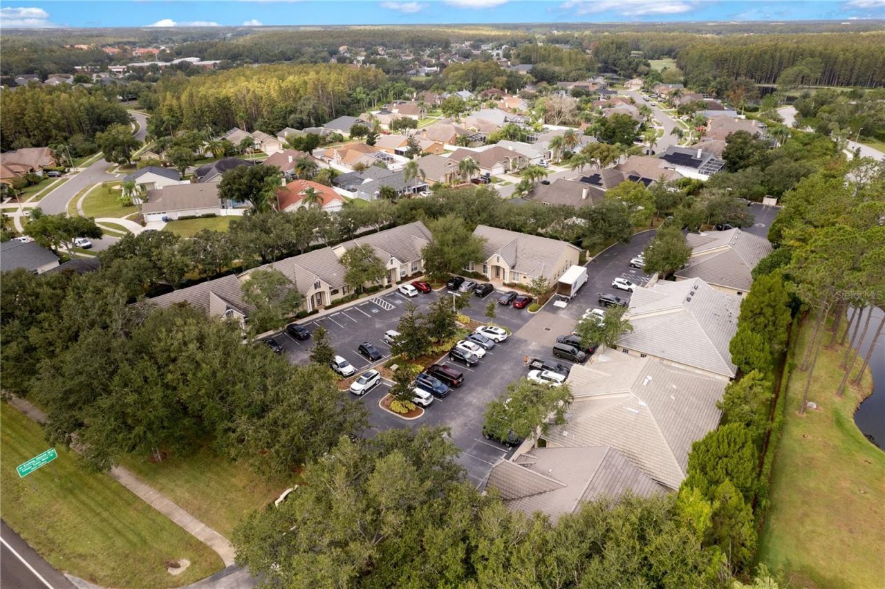 18540 N Dale Mabry Highway, Lutz, FL 33548 Photo