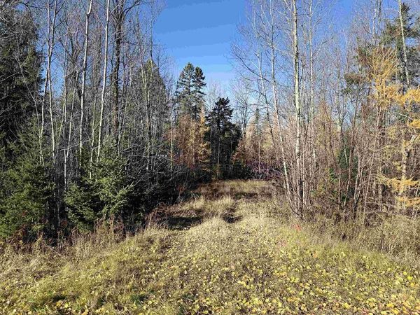 6027 N County Hwy M, Winter, WI 54896