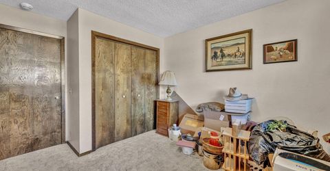 1670 Belarra Drive, Minden, NV 89423 Photo