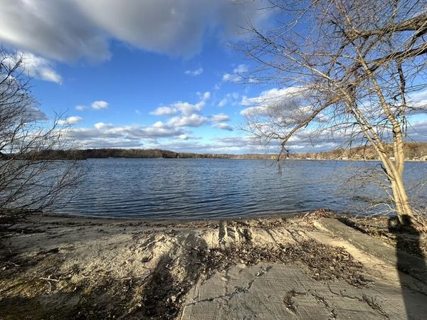 Oak Vacant Lots, Pinckney, MI 48169