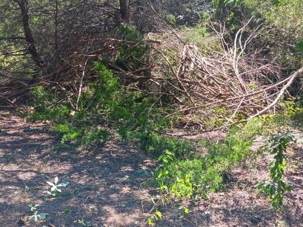 TWB County 3114 Road NW, Purdon, TX 76679