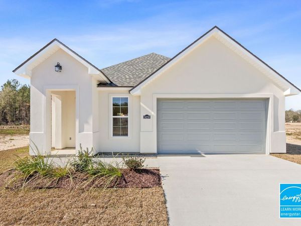 24256 Sharp Shinned Drive, Denham Springs, LA 70726