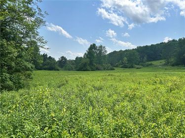 Lot 3 Oregon Road, Gilbertsville, NY 13776