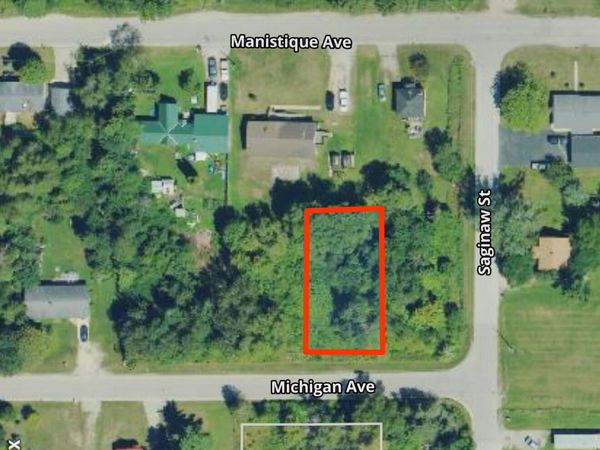 Parcel 2 Michigan Avenue, Manistique, MI 49854