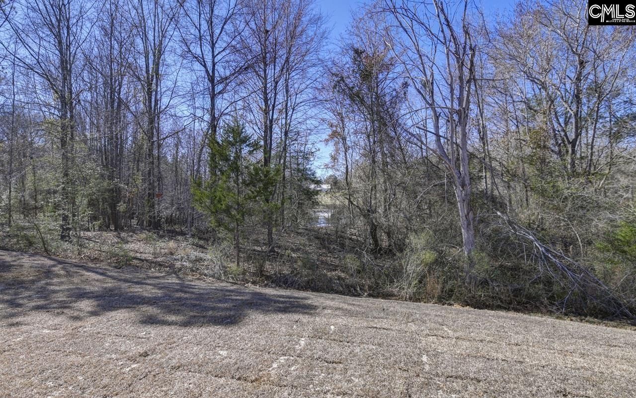 251 Boseman Road Photo 46