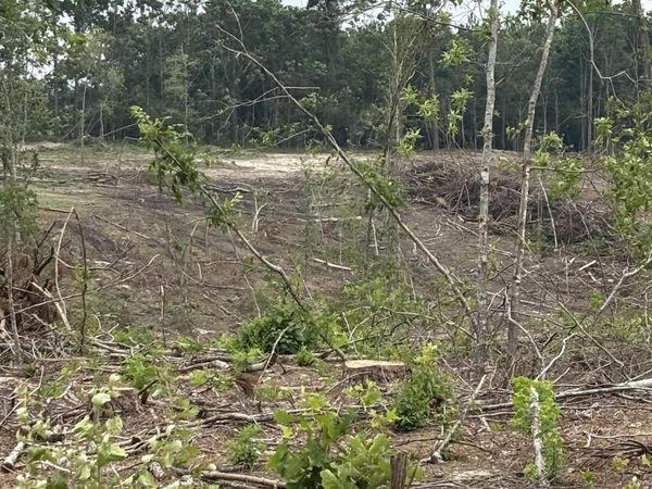 TBD Hwy 355 South, Saratoga, AR 71859