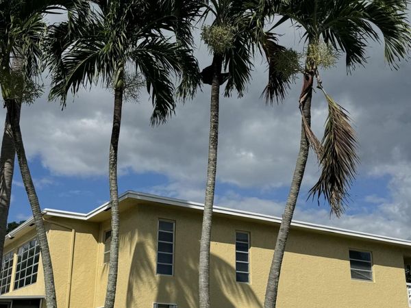 1141 Violet Terrace, Unit 202, Delray Beach, FL 33445