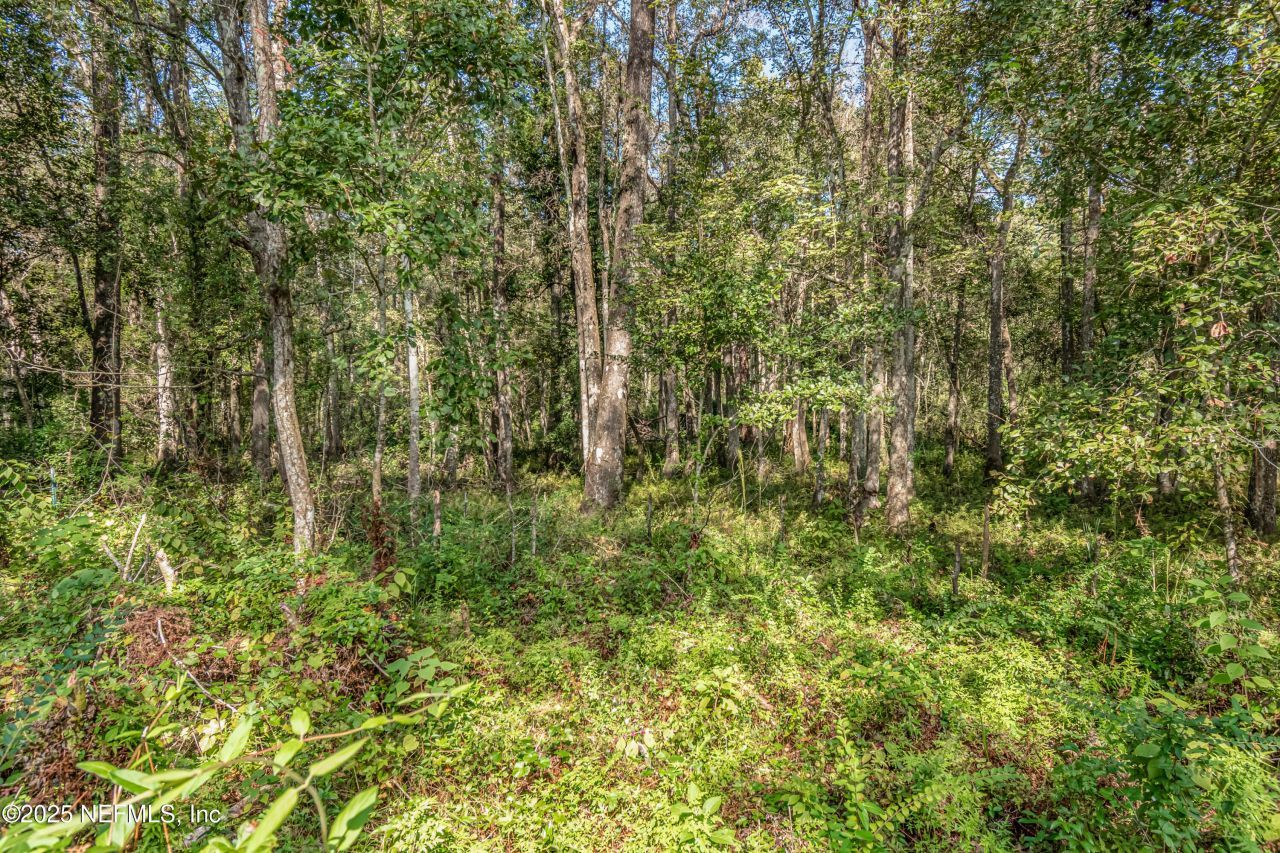 5577 Myrtle Road, Macclenny, FL 32063 Photo