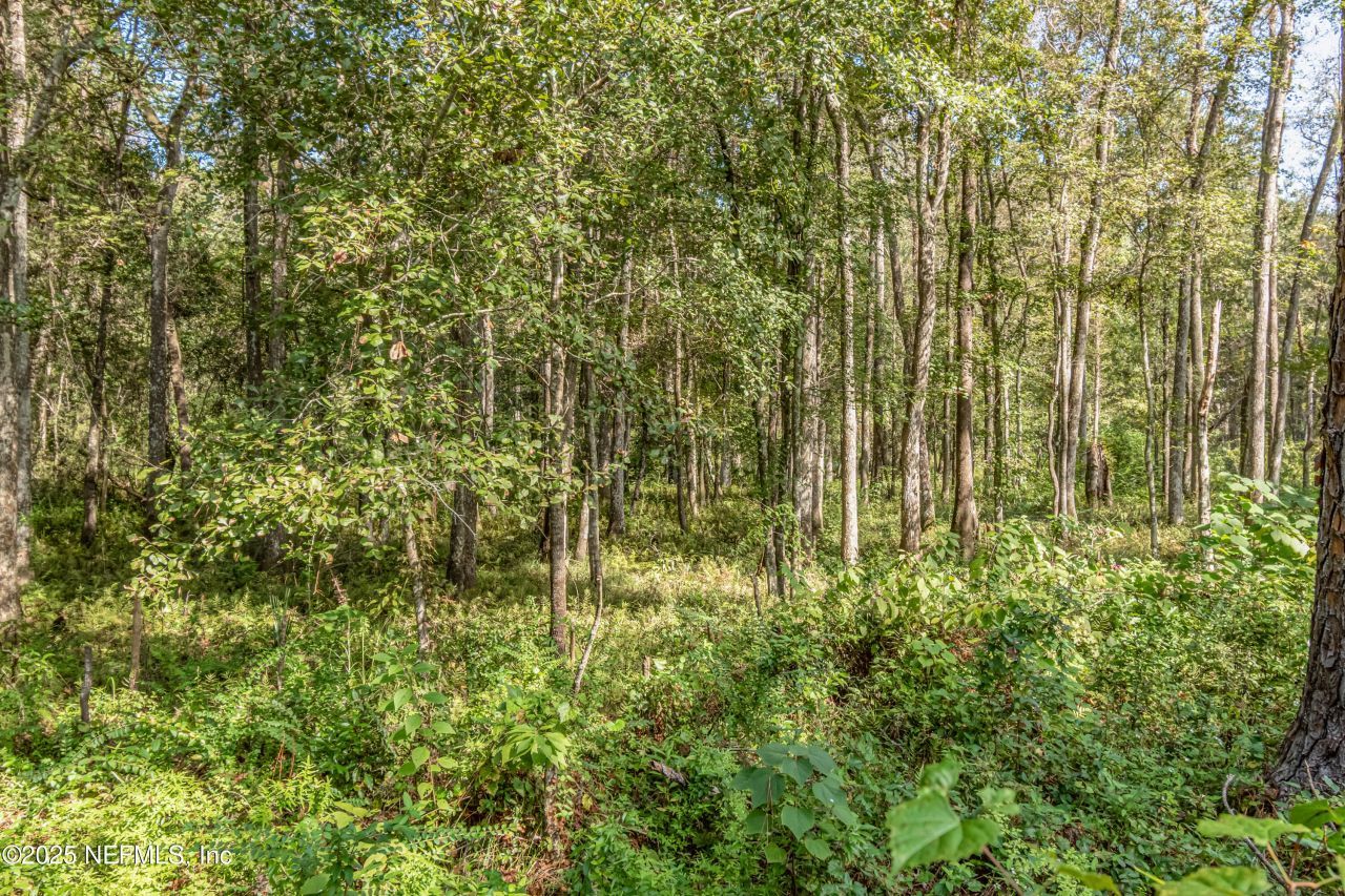 5577 Myrtle Road, Macclenny, FL 32063 Photo