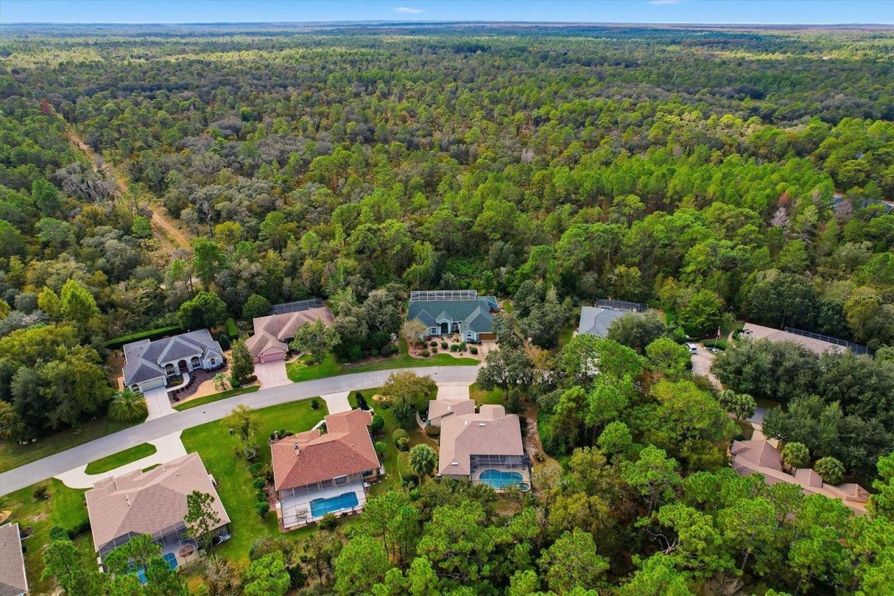 24 Livingstone Daisy Court, Homosassa, FL 34446 Photo