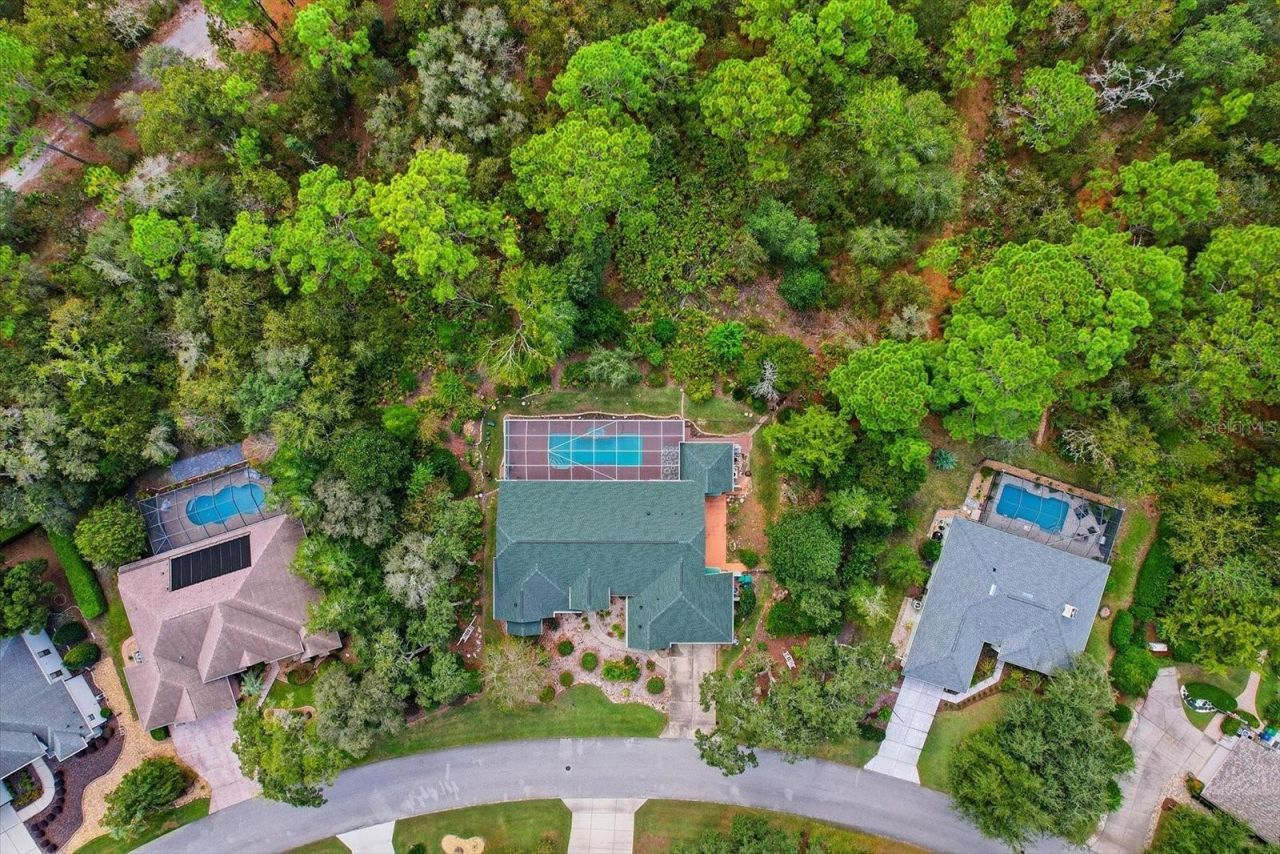 24 Livingstone Daisy Court, Homosassa, FL 34446 Photo