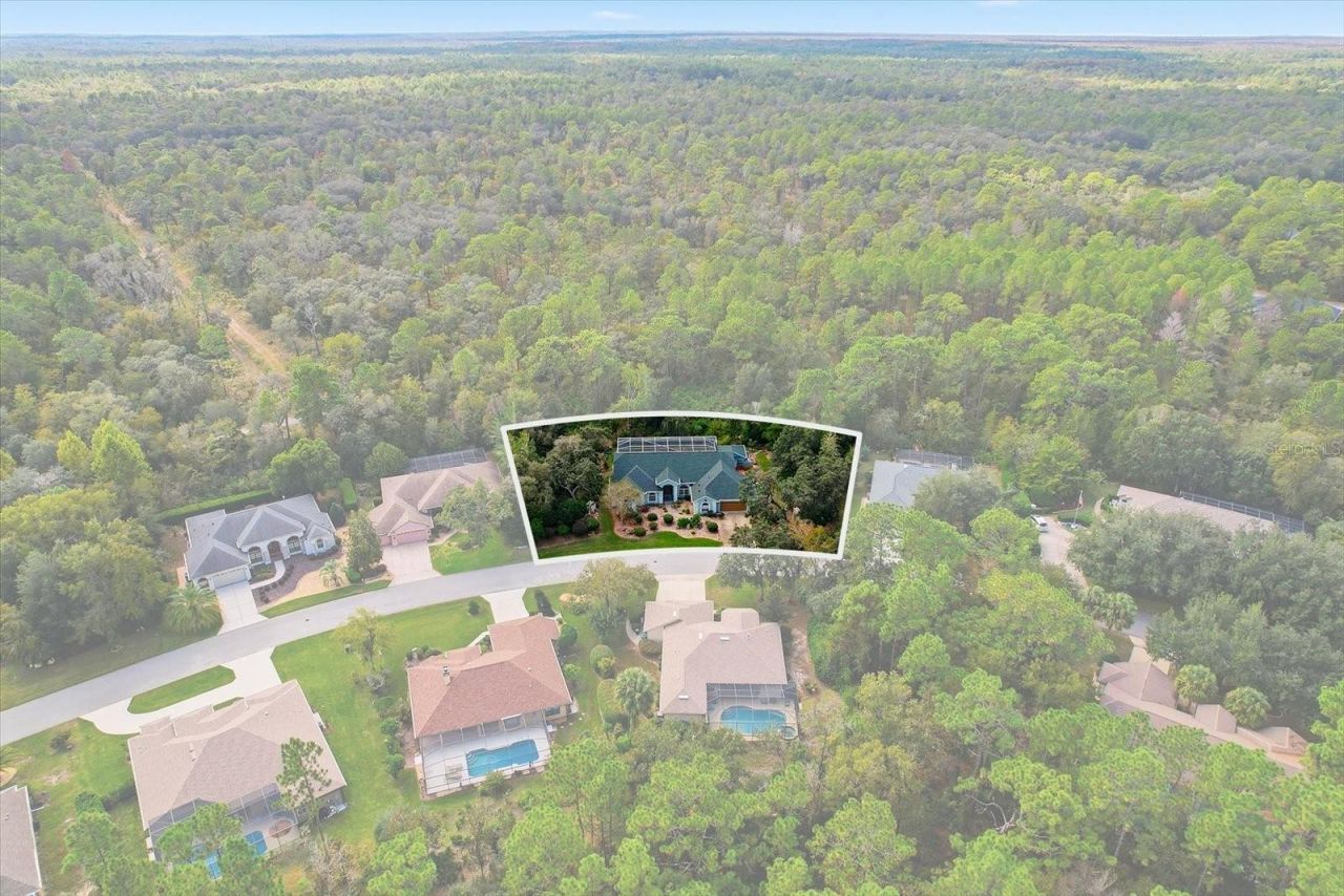 24 Livingstone Daisy Court, Homosassa, FL 34446 Photo