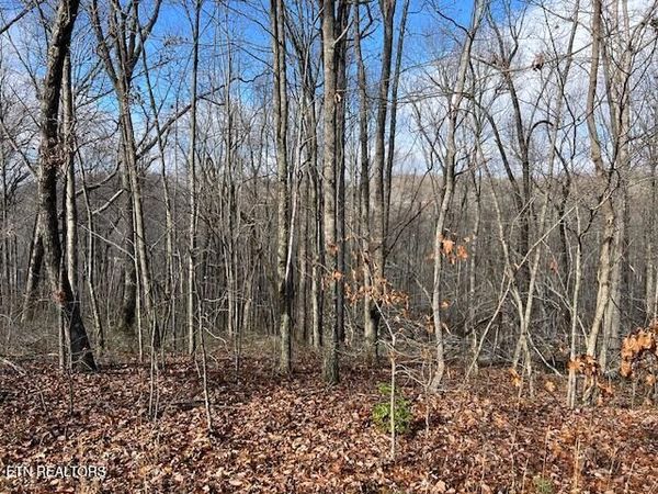 Belmont Drive, Monterey, TN 38574