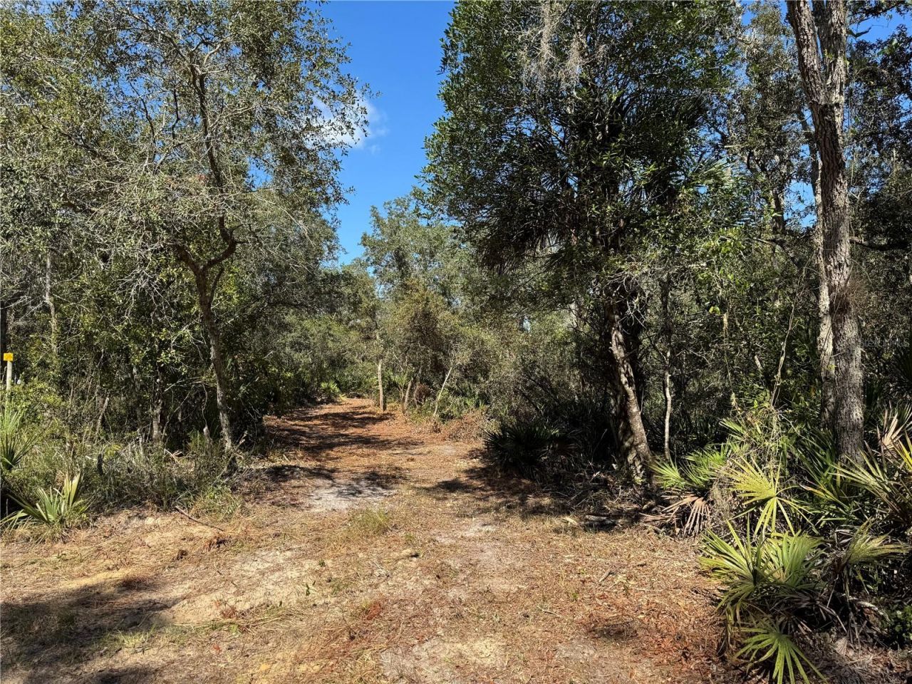 Tbd Quail Road, Cedar Key, FL 32625 Photo