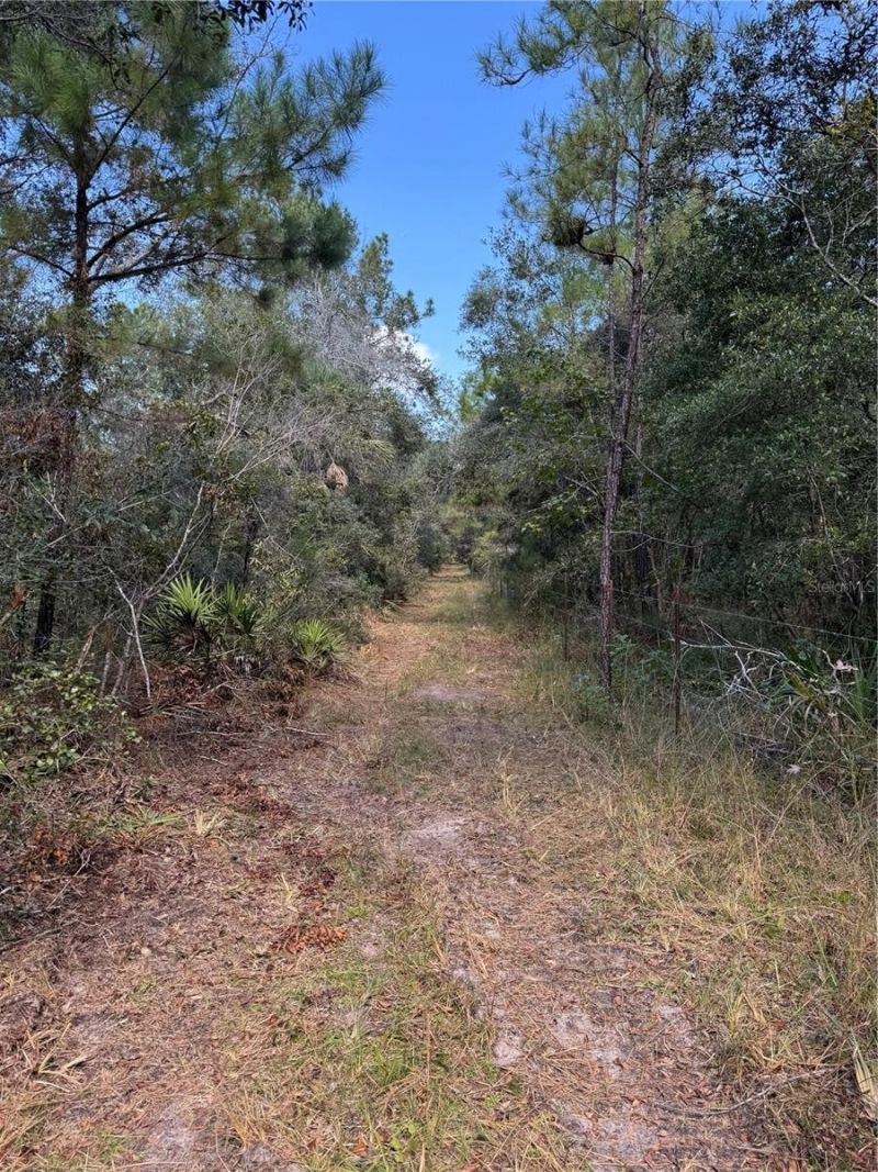 Tbd Quail Road, Cedar Key, FL 32625 Photo