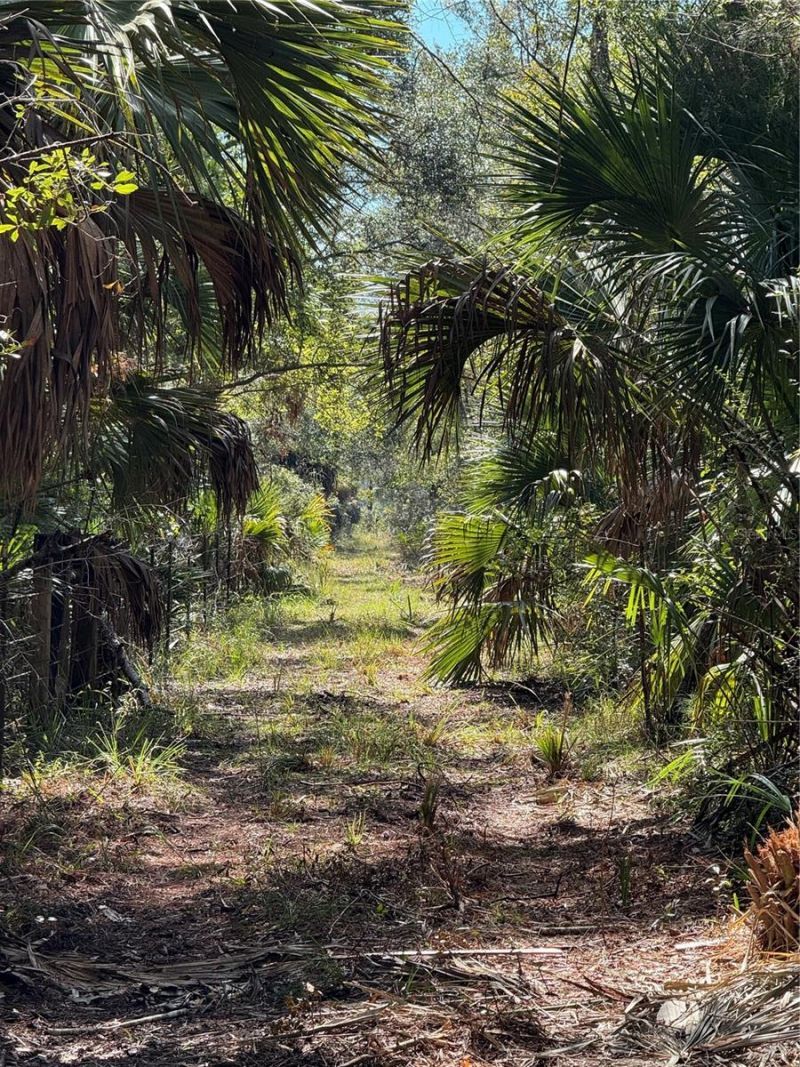 Tbd Quail Road, Cedar Key, FL 32625 Photo