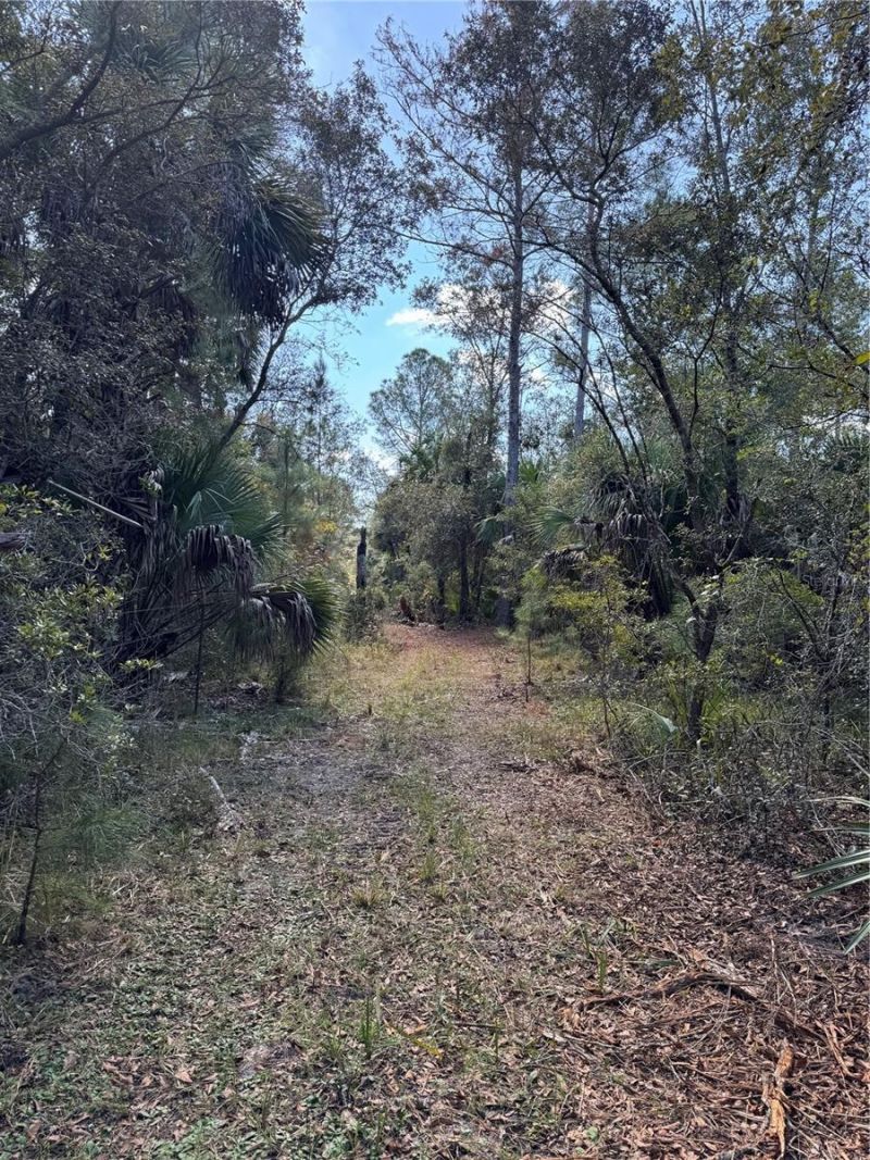 Tbd Quail Road, Cedar Key, FL 32625 Photo