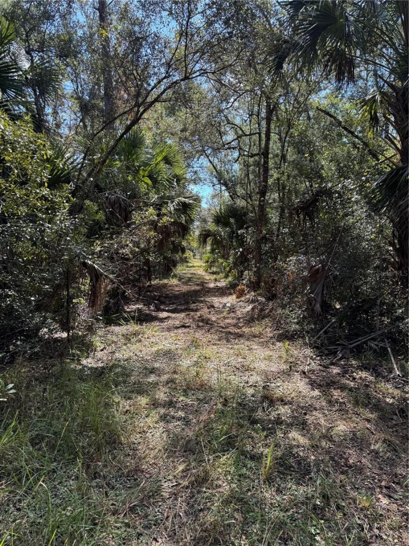 Tbd Quail Road, Cedar Key, FL 32625 Photo