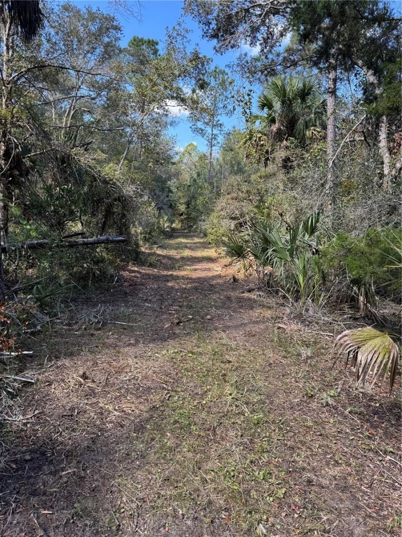 Tbd Quail Road, Cedar Key, FL 32625 Photo