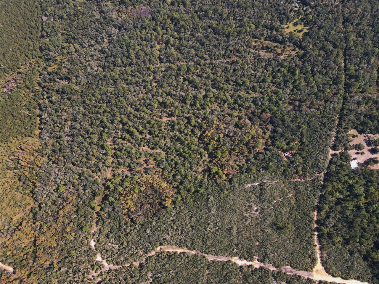 Tbd Quail Road, Cedar Key, FL 32625 Photo