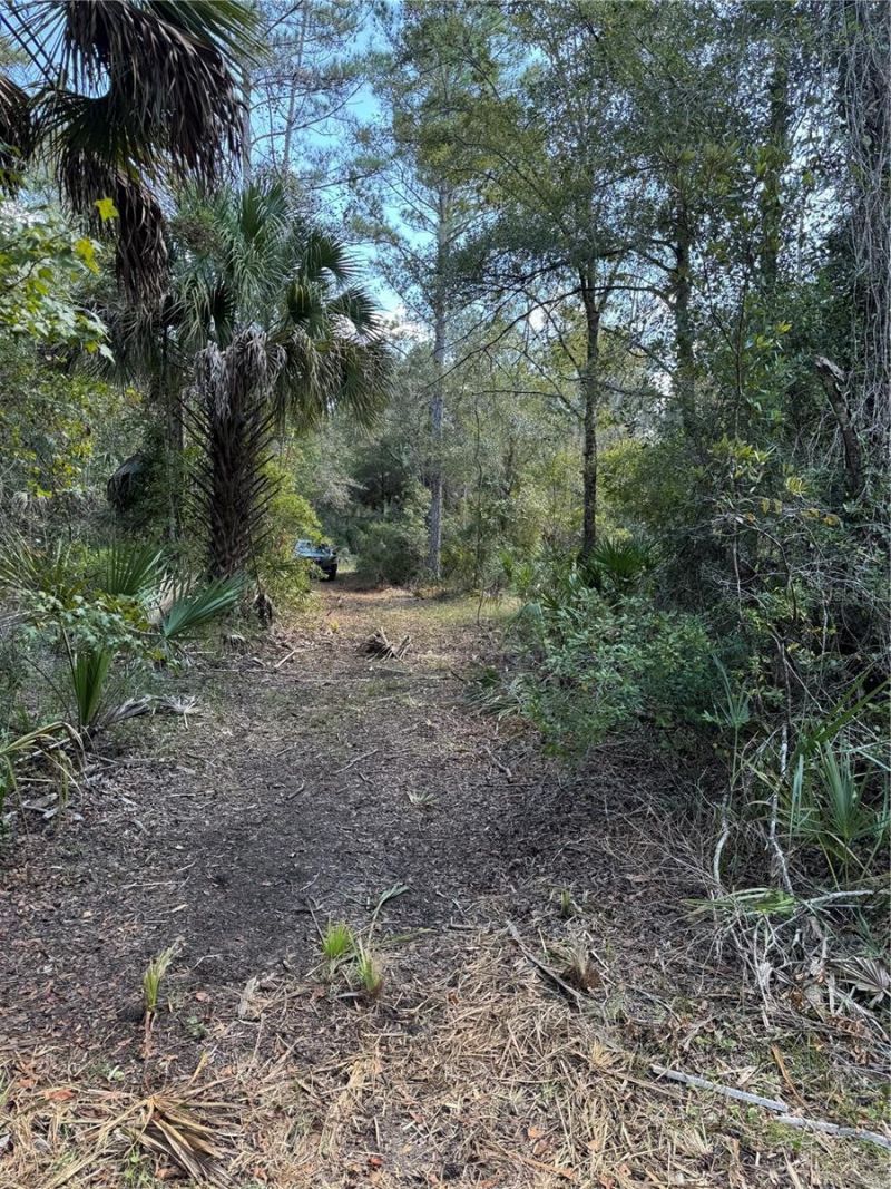 Tbd Quail Road, Cedar Key, FL 32625 Photo