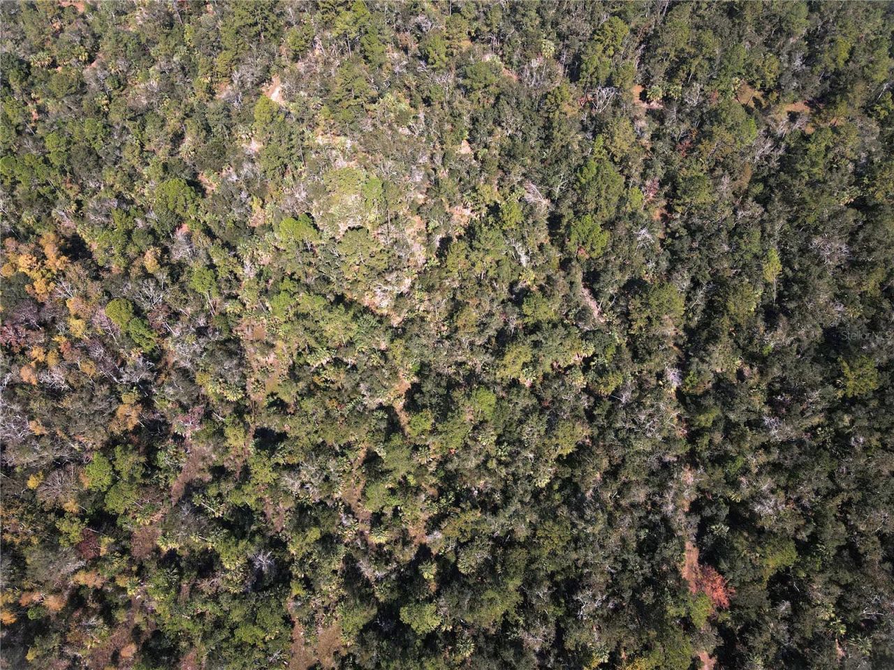 Tbd Quail Road, Cedar Key, FL 32625 Photo