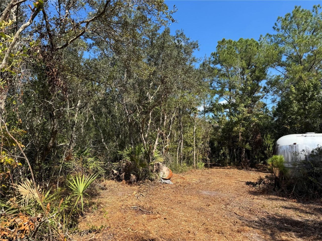 Tbd Quail Road, Cedar Key, FL 32625 Photo