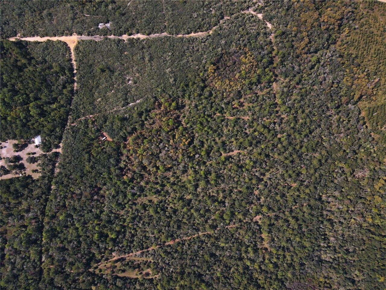 Tbd Quail Road, Cedar Key, FL 32625 Photo