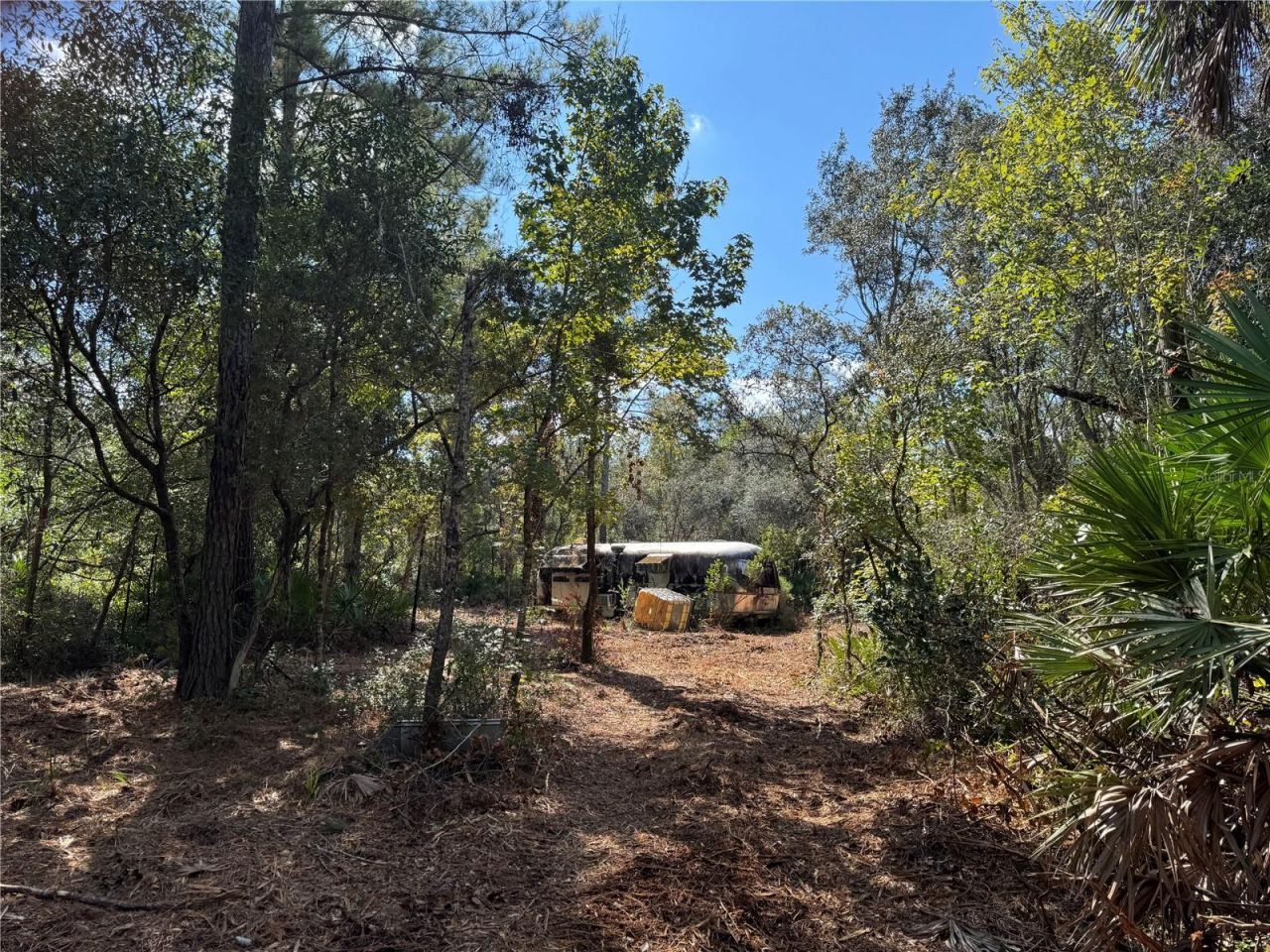 Tbd Quail Road, Cedar Key, FL 32625 Photo