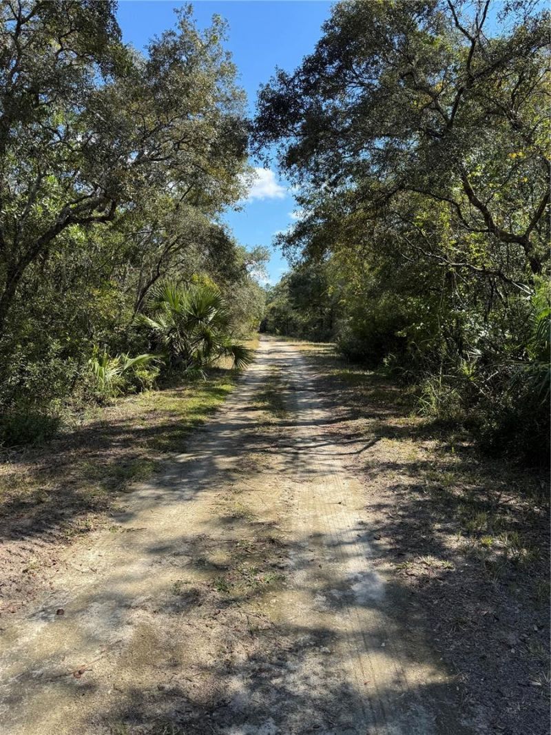 Tbd Quail Road, Cedar Key, FL 32625 Photo