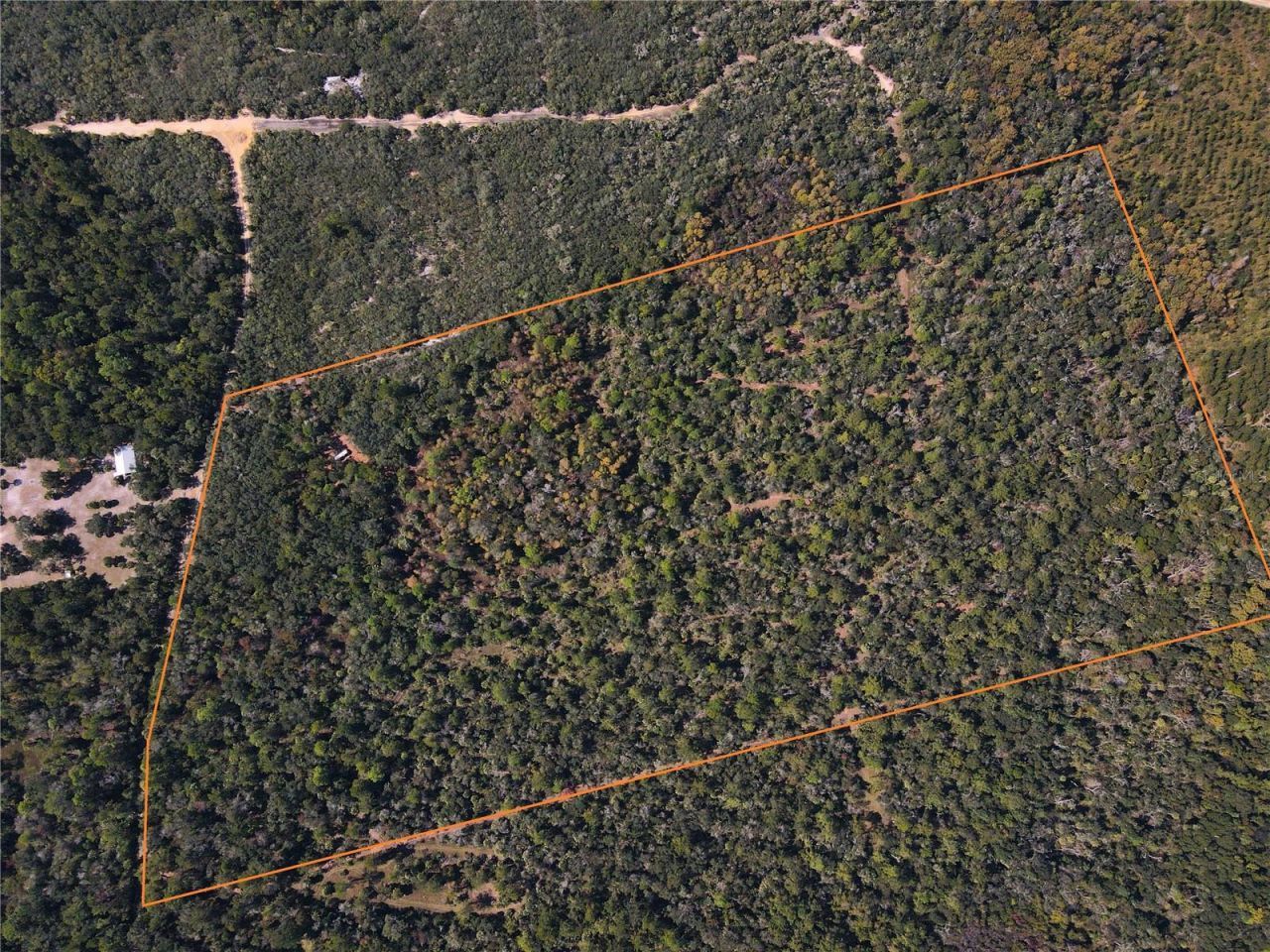 Tbd Quail Road, Cedar Key, FL 32625 Photo