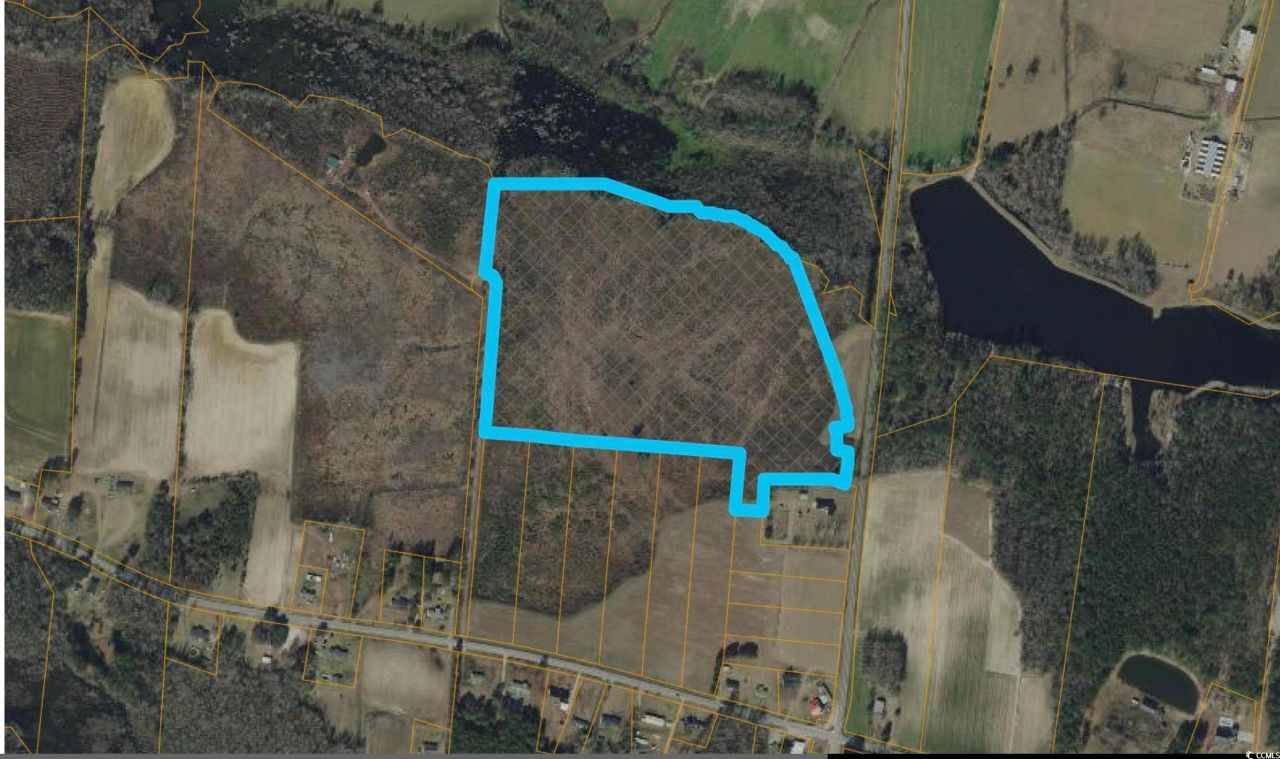 Tbd J H Martin Rd. Photo 14