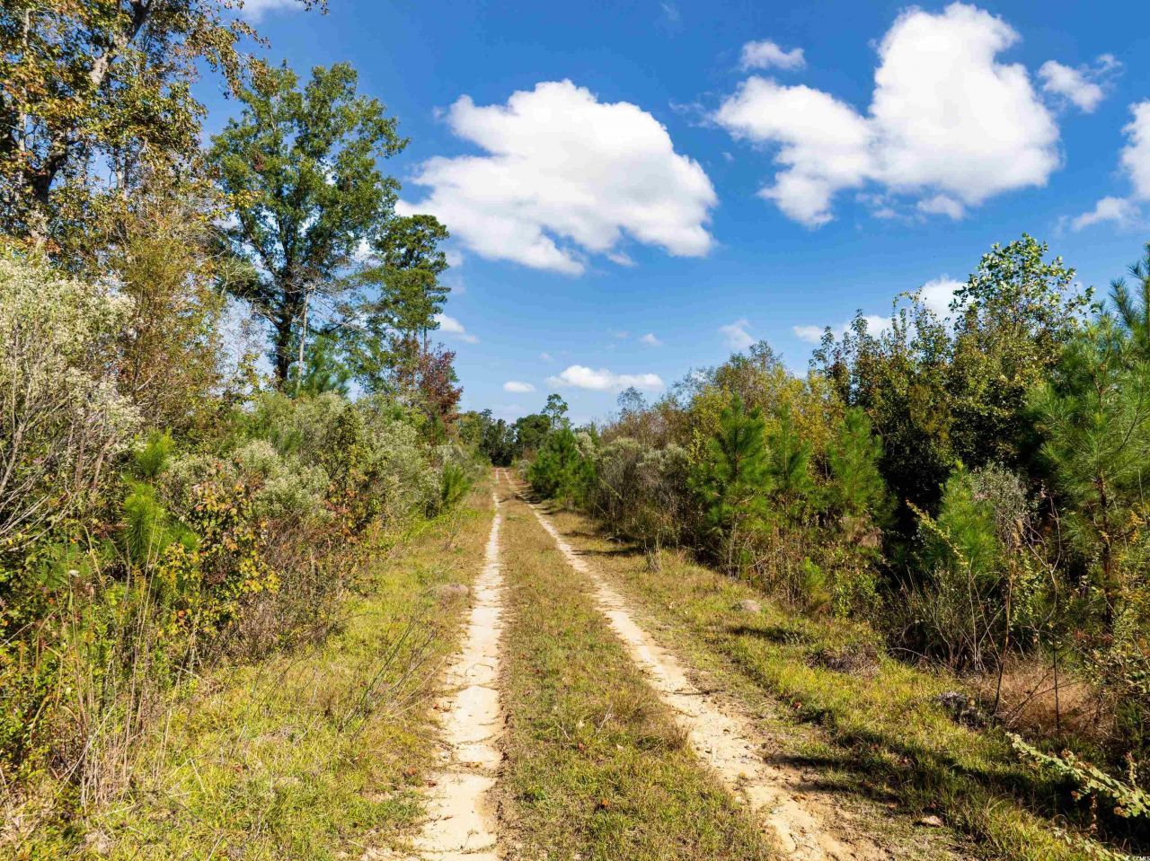 Tbd J H Martin Rd. Photo 7