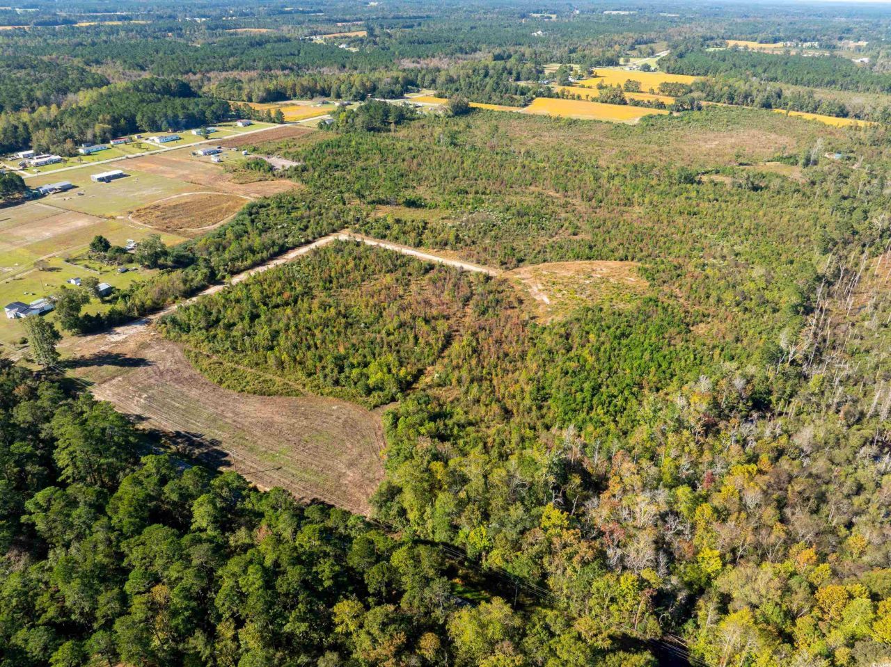 Tbd J H Martin Rd. Photo 9