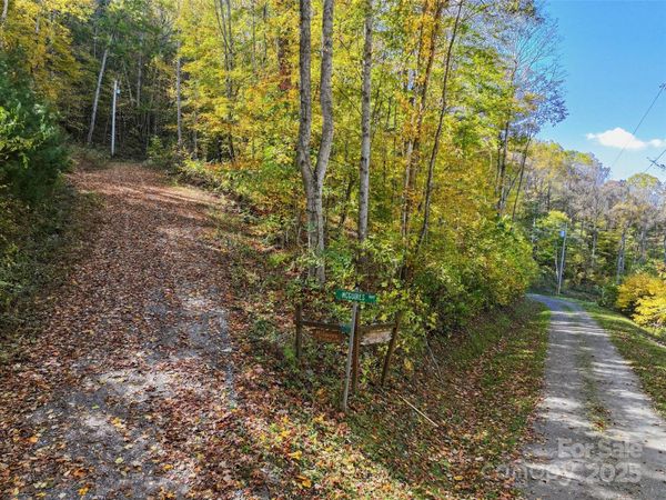 Lot 316 McGuires Ridge , Waynesville, NC 28786