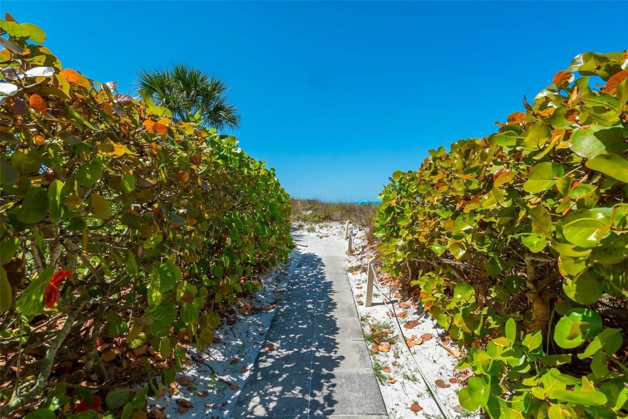 6285 Midnight Pass Road, Unit 406, Sarasota, FL 34242 Photo