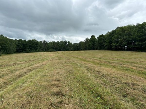00 Browntown Road Lot 3, Lindley, NY 14858