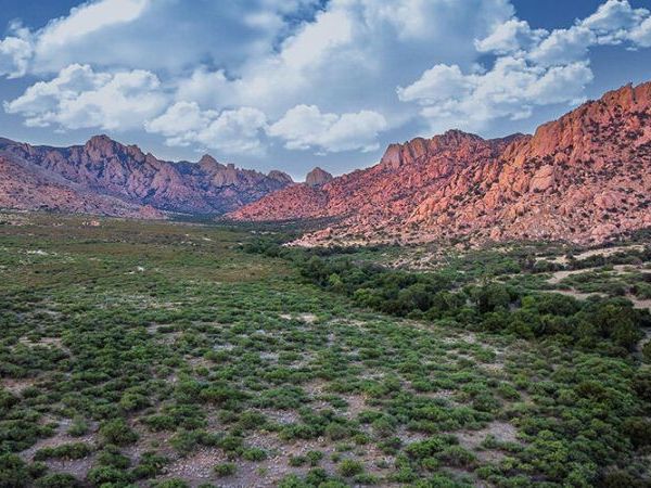 M223 E Cougar Trail, Unit 223, Saint David, AZ 85630