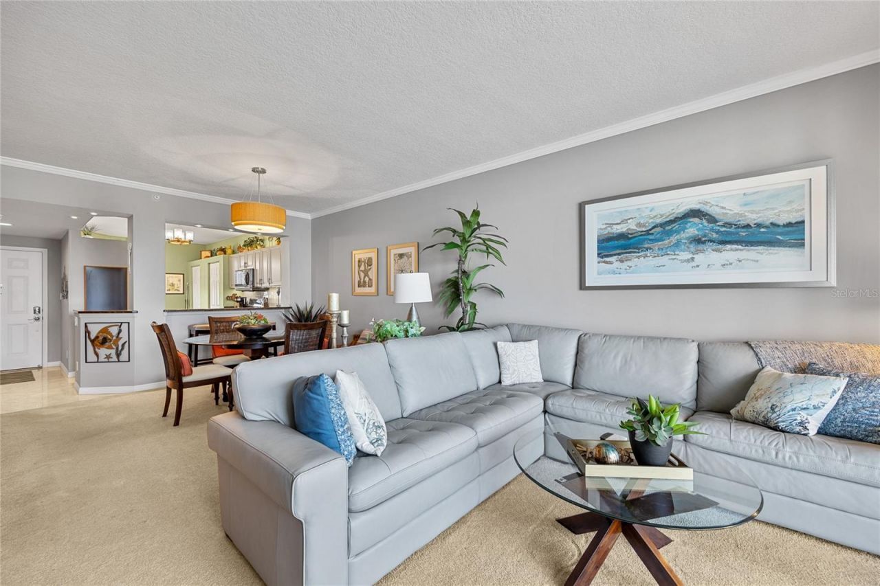 7892 Sailboat Key Boulevard S, Unit 206, South Pasadena, FL 33707 Photo