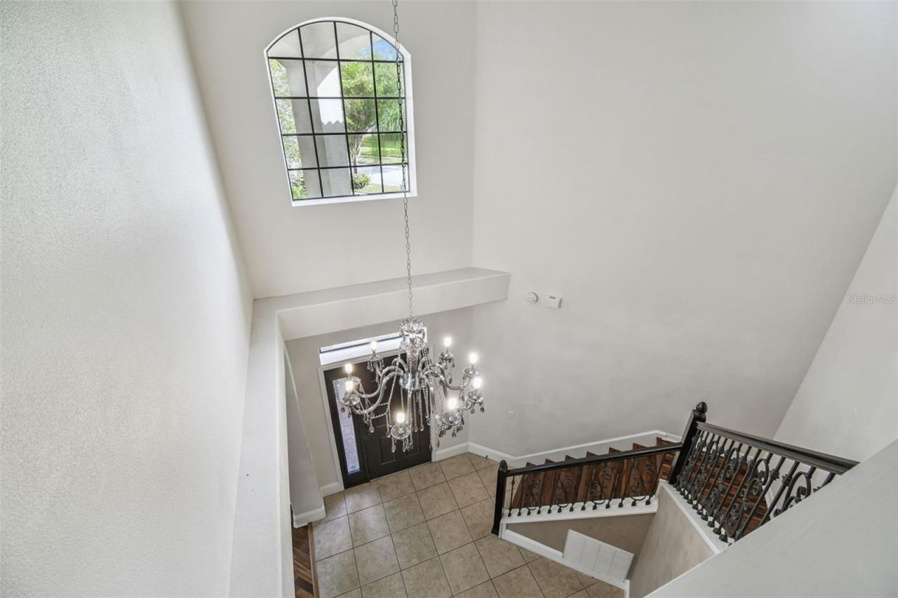 12803 Darby Ridge Drive, Tampa, FL 33624 Photo