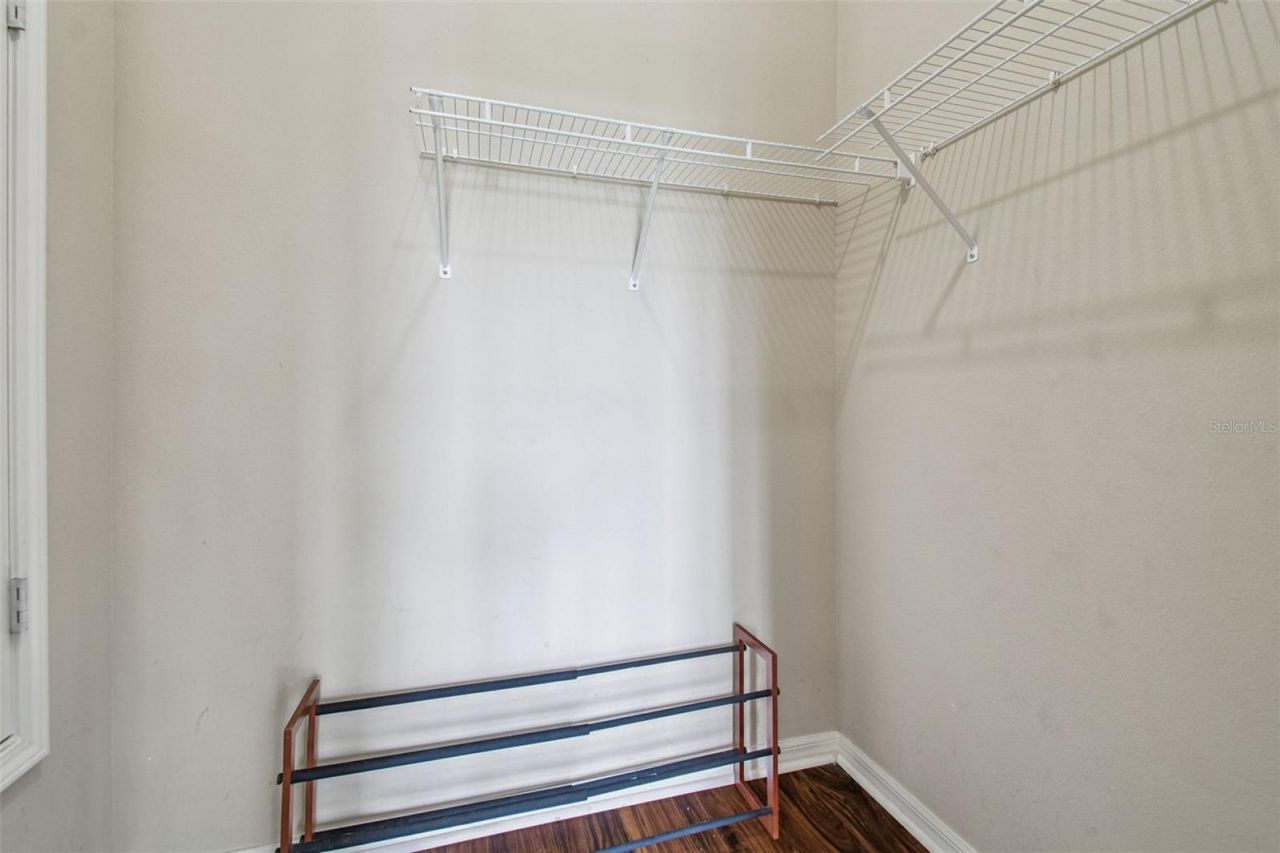 12803 Darby Ridge Drive, Tampa, FL 33624 Photo