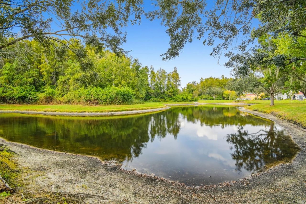 12803 Darby Ridge Drive, Tampa, FL 33624 Photo