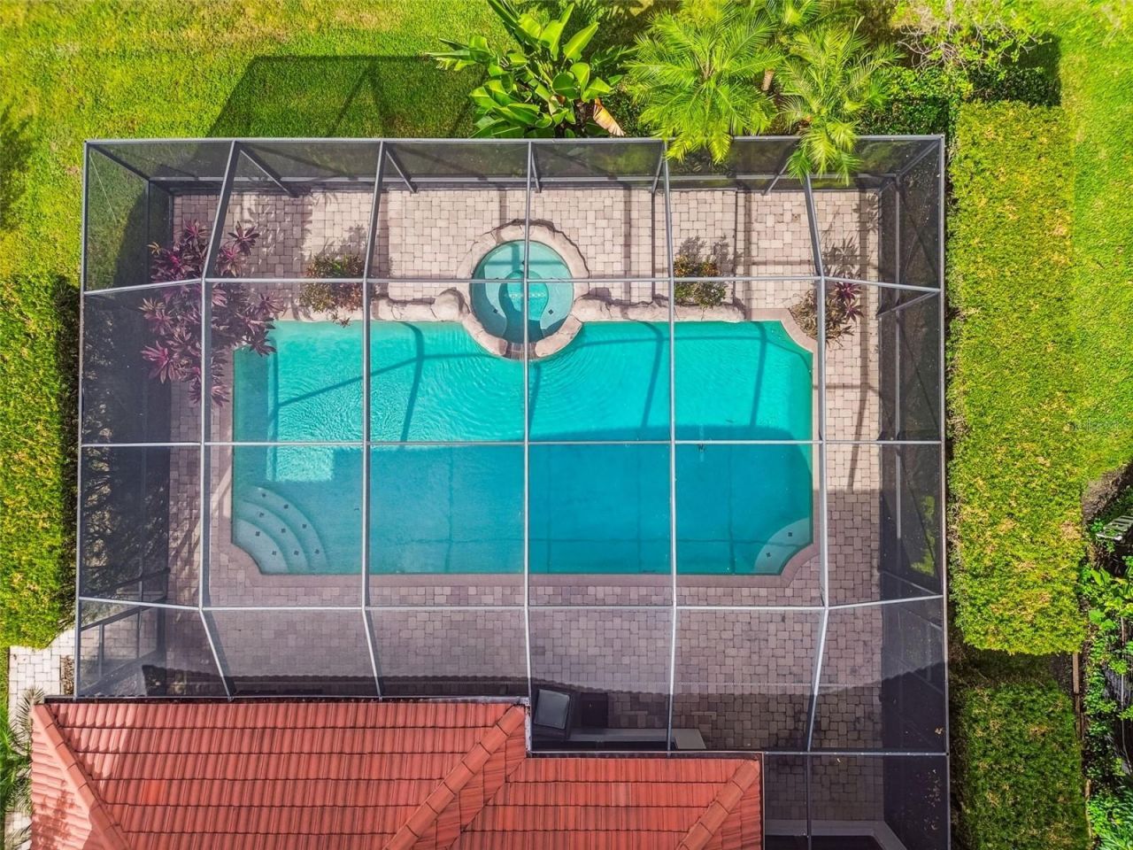 12803 Darby Ridge Drive, Tampa, FL 33624 Photo