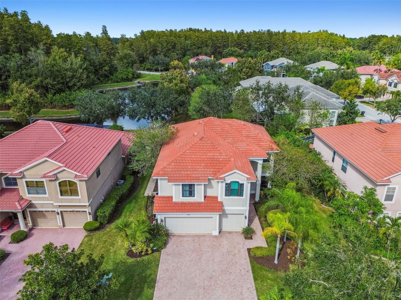 12803 Darby Ridge Drive, Tampa, FL 33624 Photo